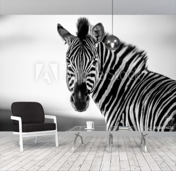 Bild på Zebra Straight on Black and White